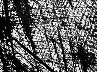 Intricate black and white texture created by overlapping lines on a surface during daylight hours