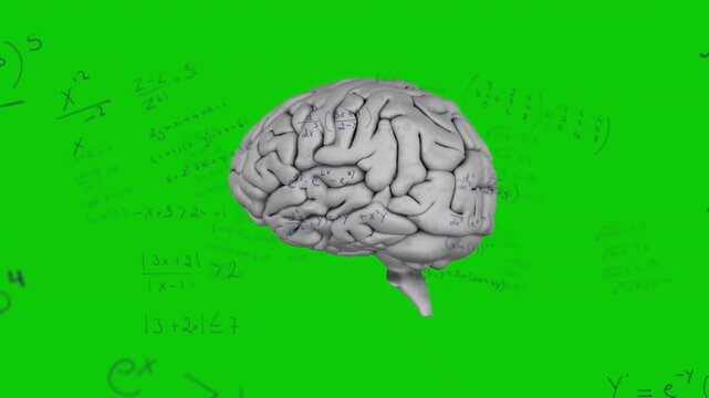 Opening with gray 3D brain rotating clockwise revealing hemispheres against green math backdrop