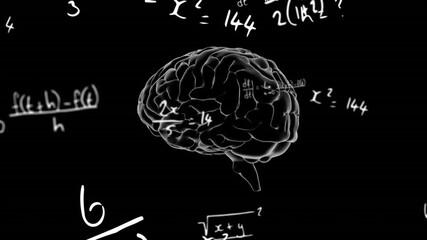 3D translucent brain drifting into view rotating with formulas appearing and showing math reasoning - Powered by Adobe