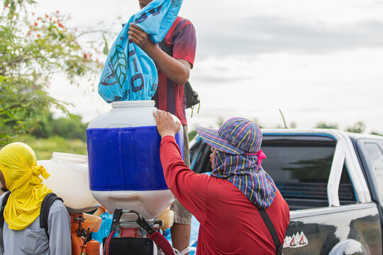 Loading rice seeds into precision seed spreader