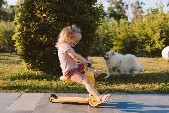 girl rides a yellow tricycle in park with a dog