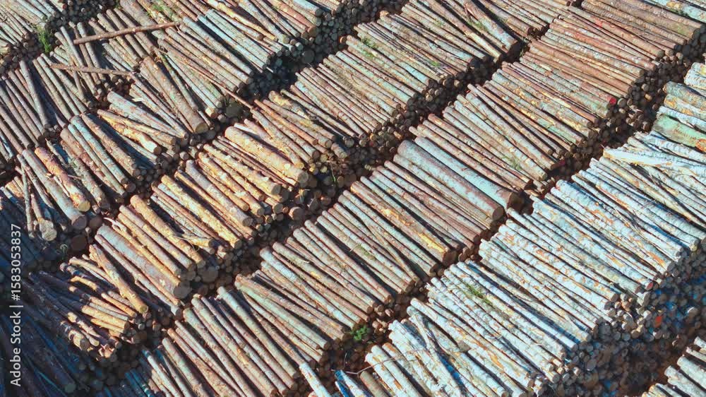 Poster countless timber logs are organized in precise rows, creating a striking geometric pattern that high