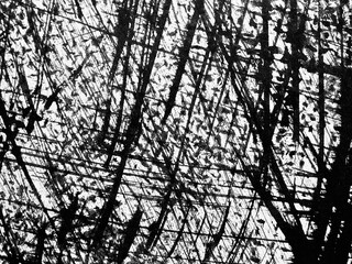 Intricate patterns of shadows and lines captured in urban setting during afternoon light