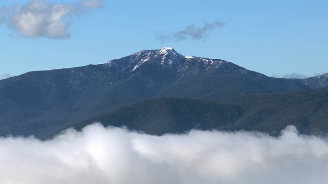 Mt Buller in the distance above the clouds on a beautiful blue sky day
