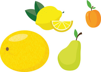 Fruits set. Lemon, pear, orange, pear. Vector illustration