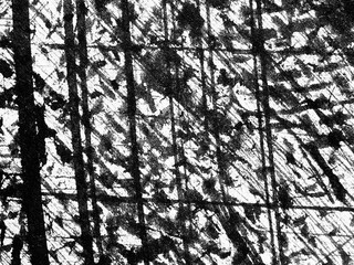 Abstract black and white texture featuring intertwining lines and patterns with a stark contrast...