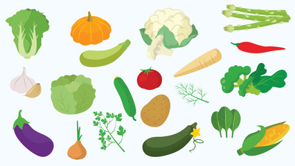 Vegetables set, vector illustration in flat style. Vegetarian food collection.
