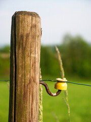 A wire wound on a yellow insulator attached to a pole In the background there is a green forest and...