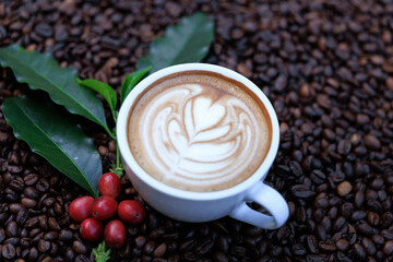 cappuccino white cup, and green coffee leaves, and red raw coffee, with roasted coffee beans backgrounds abstrack