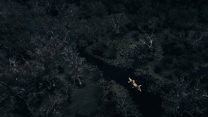 Travel Kayaking Paddling Transparent Canoe Kayak in peat swamp forest wetlands in mornine time, Rayong botanic garden, A Wetland Sanctuary of Eastern Thailand, Rayong Province, Thailand