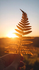 Sunlit Fern Leaf in Hand Against Golden Hour Sky