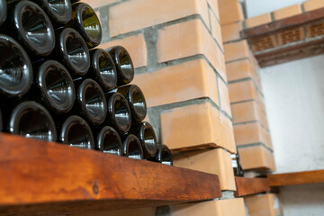 Old wine bottles covered in dust and mold