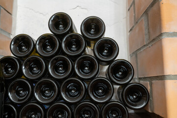 Old wine bottles covered in dust and mold