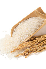 raw rice with wrapped in husks isolated on white background.