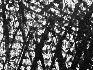 Abstract black and white artwork showcasing intricate lines and patterns created with bold brush...
