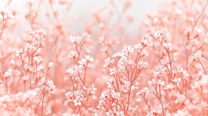 Naklejka premium Vibrant Peach Hued Spring Field Overflowing with Tiny Dainty Flowers Blooming in Pastel Patterns