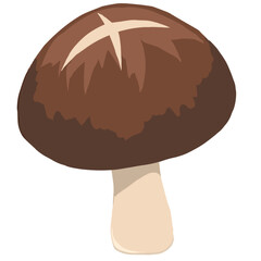 Mushroom