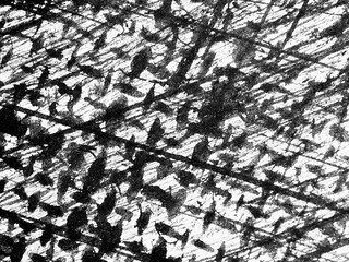 Patterns of shadows cast on a textured surface in black and white, revealing intricate designs and contrasts in light
