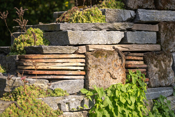 Several lizards crawl along a wall made of ancient stones Green plants also grow on the rocks.