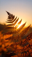 Golden Hour Fern Silhouette with Warm Sun Rays
