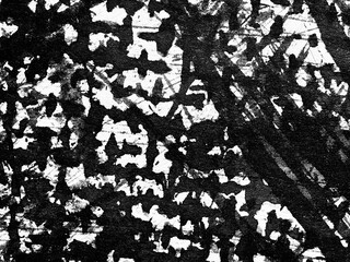 Abstract black and white pattern featuring contrasting textures and shapes created through artistic...