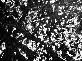 Abstract black and white artwork featuring chaotic lines and textures resembling tangled branches...