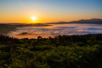 Sunrise Over a Sea of Clouds from the Hills of Sare in the French Basque Country