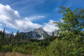 A sharp grey mountain against a blue sky with clouds, a green forest is visible in front.