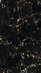 Premium Black Stone Texture with Golden Veins and Shards