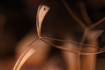 Green liquid cells, dark macro abstraction 
