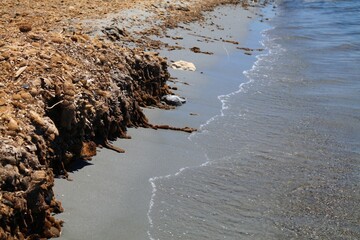 Seagrass and Neptune balls in Durres, Albania