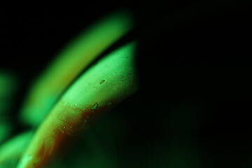 Green liquid surface, green on black, scientific background