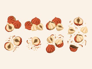 hazelnut nut cartoon organic harvest natural raw plant snack vegetarian product art pattern seamless