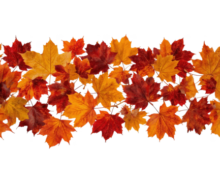 A Captivating Display of Autumnal Splendor, Vibrant Maple Leaves Table Runner on a Seamless Plane