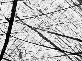Abstract monochrome texture featuring intricate line patterns and scratches on a surface