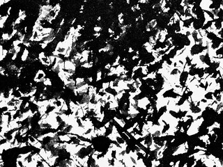 Abstract black and white texture showcasing natural patterns and contrasts in a dynamic arrangement