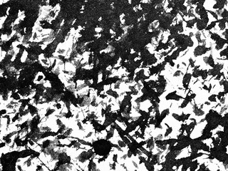 Abstract black and white texture with intricate patterns resembling natural elements found in a forest setting