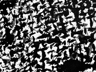 Abstract black and white artwork depicting dynamic brush strokes and bold textures on canvas