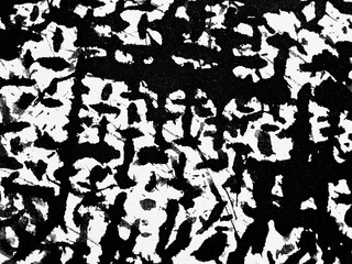 Intricate black and white pattern showcasing textured designs in a modern artistic display
