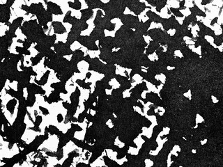Black and white abstract texture with chaotic patterns and shapes across the canvas showcasing...