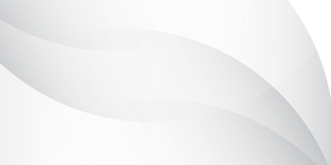 Background white abstract. background gray. Eps10