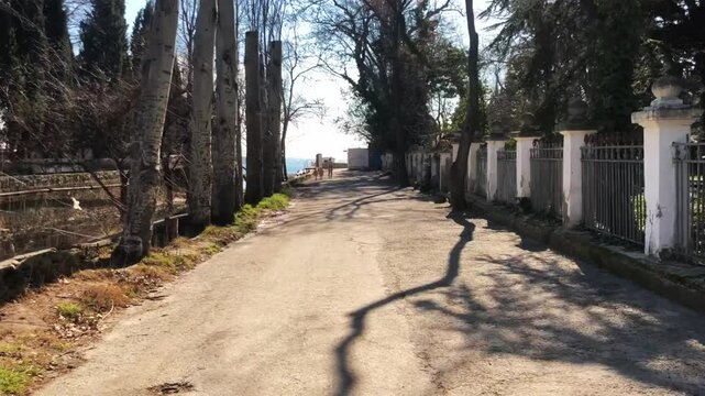 walk way to the beach in spirng