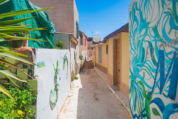 La Algameca Chica (Cartagena, Spain)