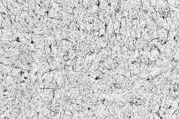 adobe wall texture with a surface covered with fine cracks