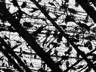 Abstract monochrome texture showcasing dynamic lines and patterns on a contrasting surface