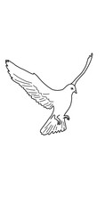 Fototapeta premium dove of peace