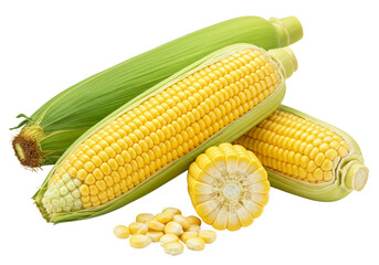 Fresh Corn Cobs and Kernels Isolated on Transparent Background

