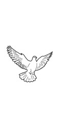 dove of peace