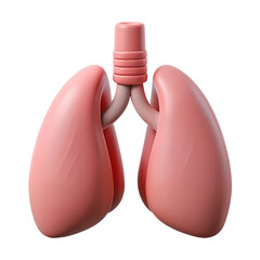 Realistic Human Lungs 3D Render Isolated on Transparent Backdrop for Medical Visuals