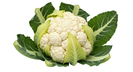 Isolated Fresh Cauliflower with Leaves
